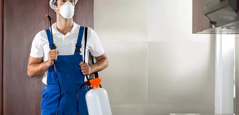 Why Henderson Homeowners Choose Us When Pests Make Selling Difficult